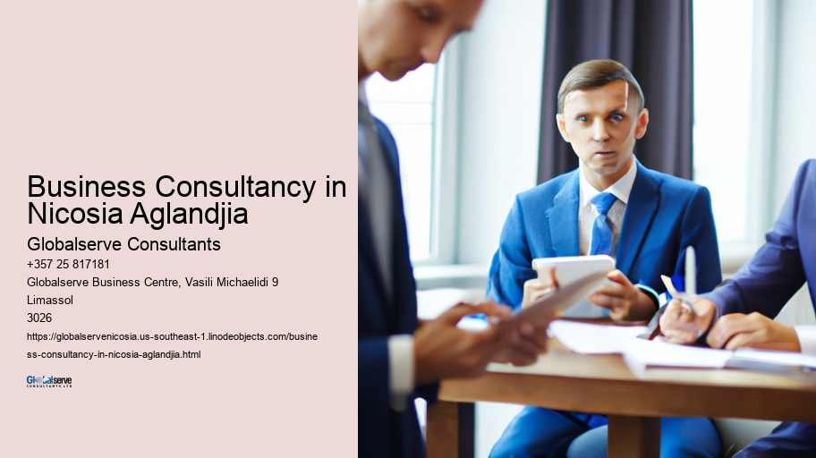 Business Consultancy in Nicosia Aglandjia
