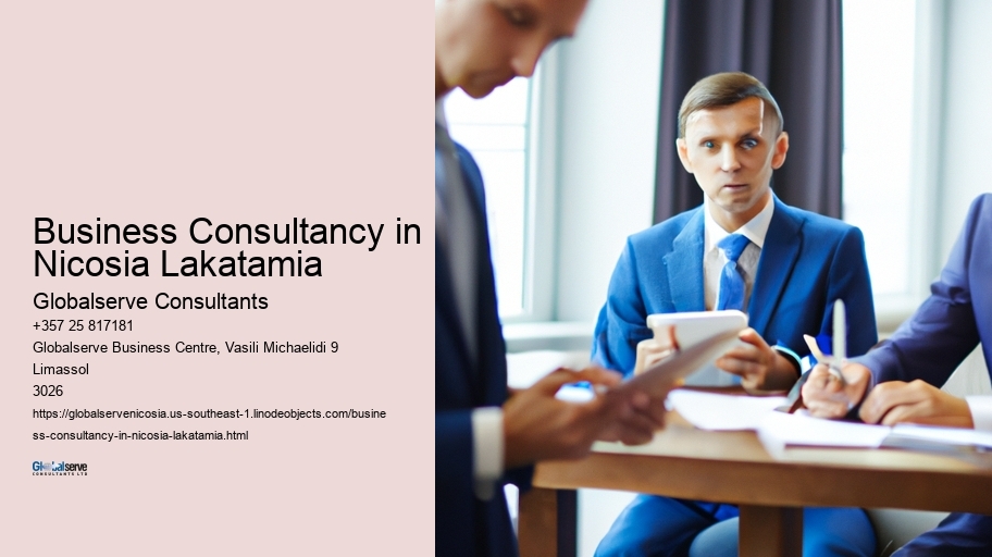 Business Consultancy in Nicosia Lakatamia